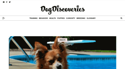 dogshealthproblems.com