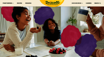 driscolls.com - fresh berries  driscolls
