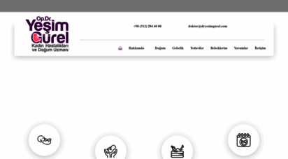 dryesimgurel.com