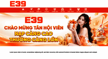 e39vn.net