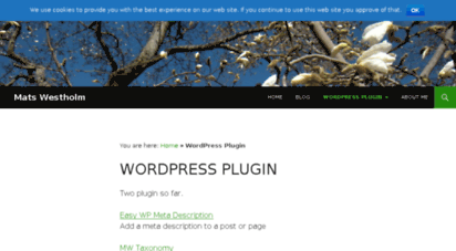 easy-wp-plugin.com