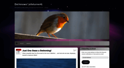 elleturner4.wordpress.com