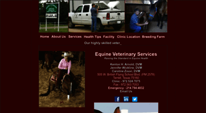 equineveterinaryservices.com