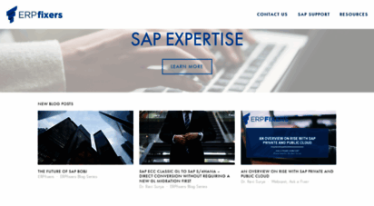 erpfixers.com - sap consultants  sap experts  on-demand sap consulting & help