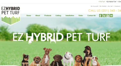 ezhybridpetturf.com