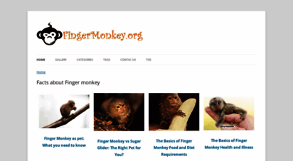 fingermonkey.org