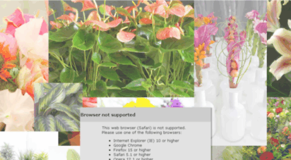 flowerselect.nl