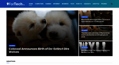 fortech.org - fortech - business and technology news blog