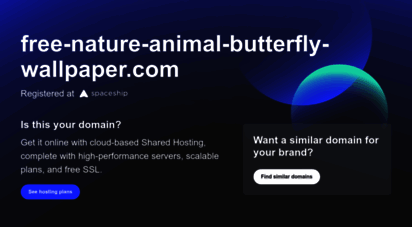 free-nature-animal-butterfly-wallpaper.com
