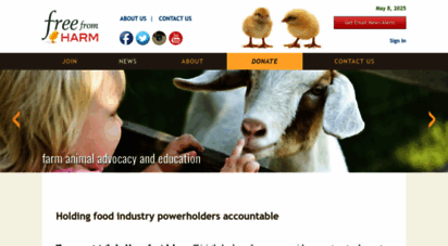 freefromharm.org - free from harm - farmed animal rescue, education and advocacy