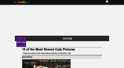 g38.picoodle.com