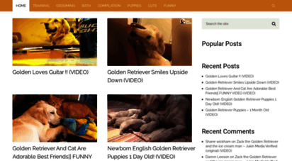 goldenretrievervideos.com