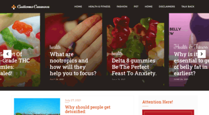 guillermocasanova.net