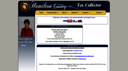 hamiltoncountytaxcollector.com