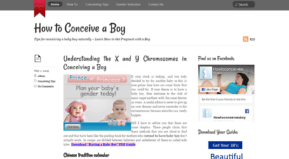 how-toconceiveaboy.com