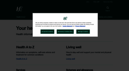 hse.ie - ireland´s health services - hse.ie