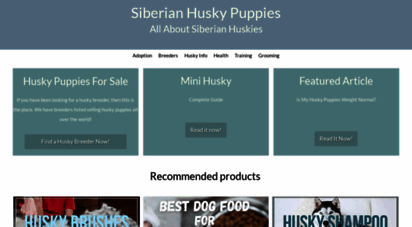 huskypuppiesinfo.com - husky puppies for sale in the us & internationally