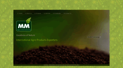 india.mmagro.com