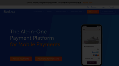 info.bluesnap.com