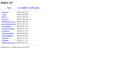 insights-group.com