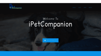 ipetcompanion.net