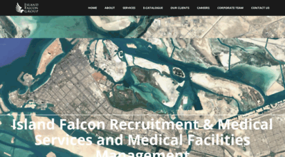 islandfalcon.com