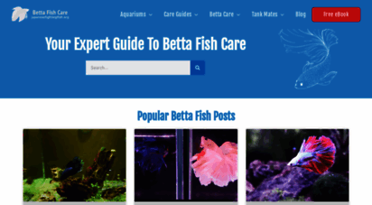 japanesefightingfish.org - betta fish care guides & articles  japanese fighting fish