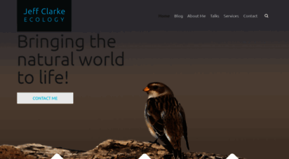 jeffclarkeecology.co.uk