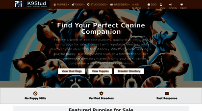 k9stud.com - dogs and puppies for sale on k9stud.com