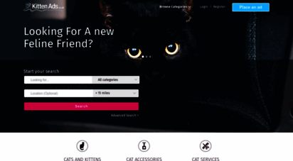kittenads.co.uk