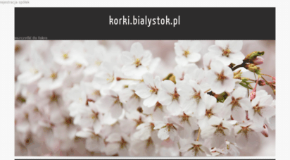 korki.bialystok.pl