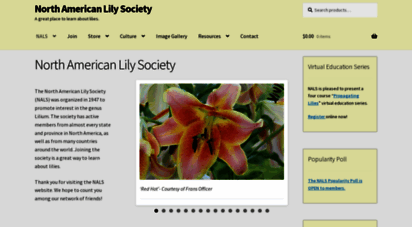 lilies.org