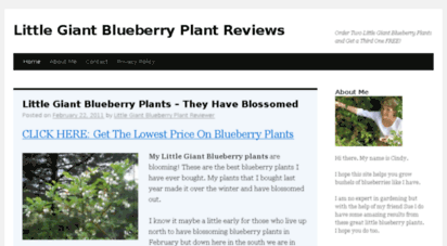 littlegiantblueberryplantreview.org