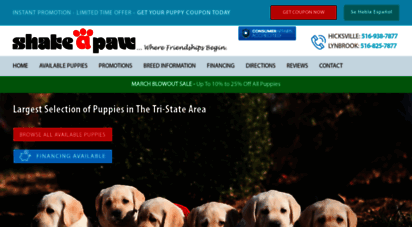 longislandpuppies.com - puppies for sale  long island, new york  shake a paw