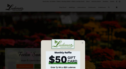 ludemas.com