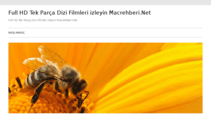 macrehberi.net - 