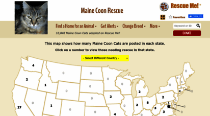 mainecoon.rescueme.org