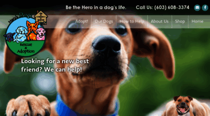 marysdogs.com