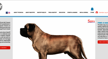 mastiff.org