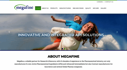 megafine.in