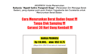 menurunkanberatbadan.com