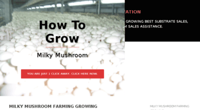 milkymushroomcultivation.co.in