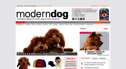 moderndogmagazine.com