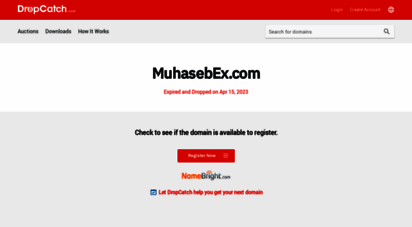 muhasebex.com