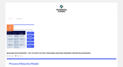 net-marketing-strategies.com