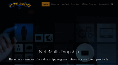 net2mallsdropship.com