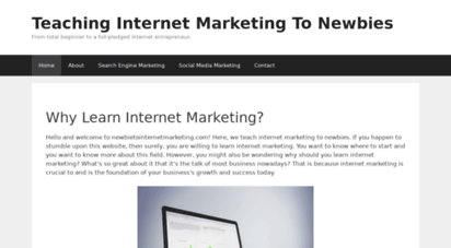 newbietointernetmarketing.com