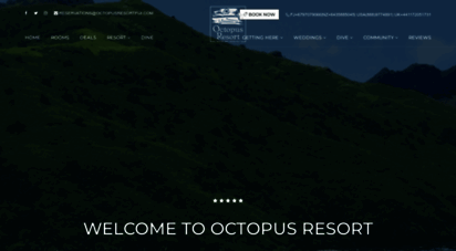 octopusresort.com