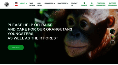 orangutan.org