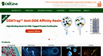 origene.com - 50,000 primary antibodies - 90,000 orf cdna clones  origene